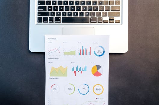 SEO Components Infographic